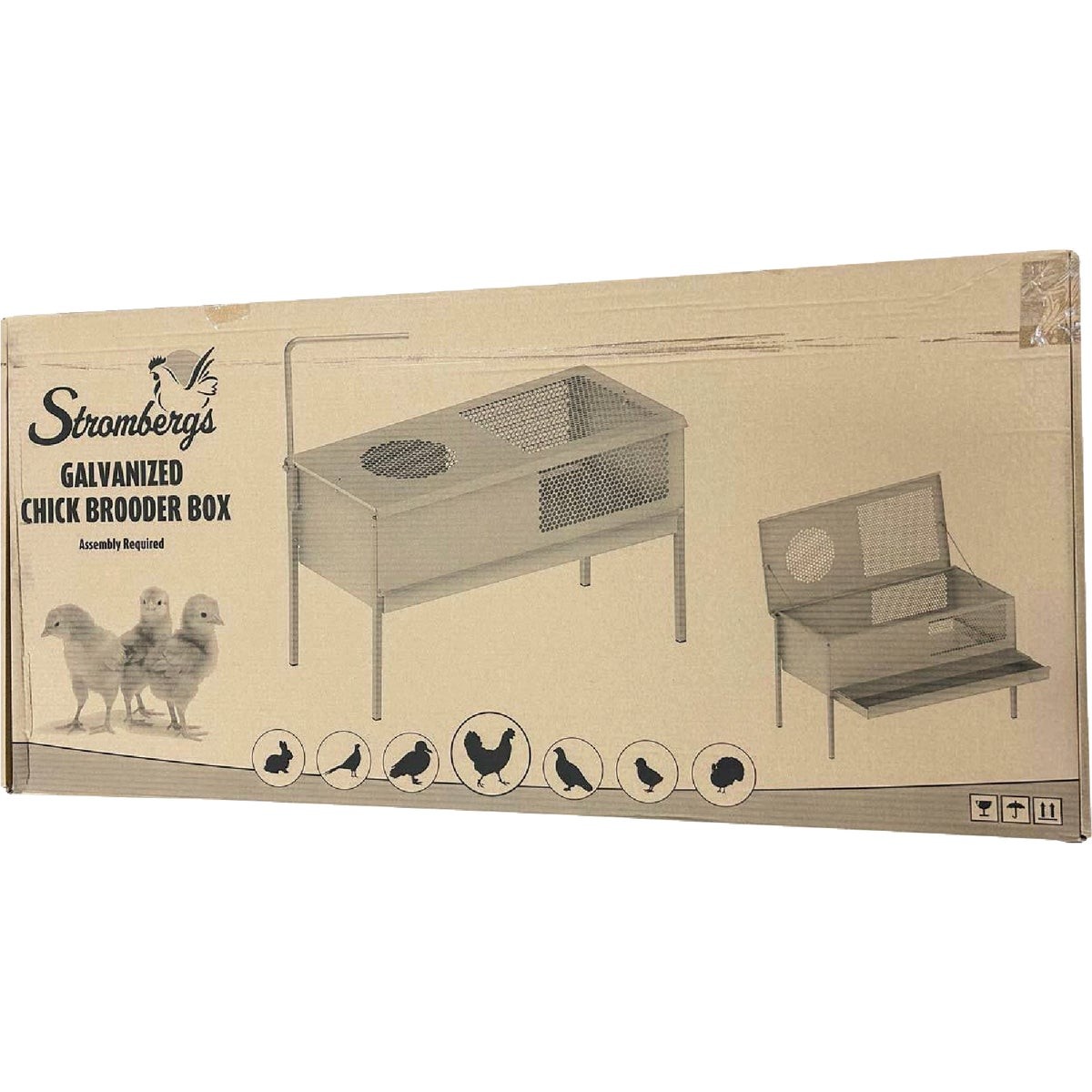 Stromberg's Stand Up Chick Brooder PP957 Stromberg's PP957 431029222494