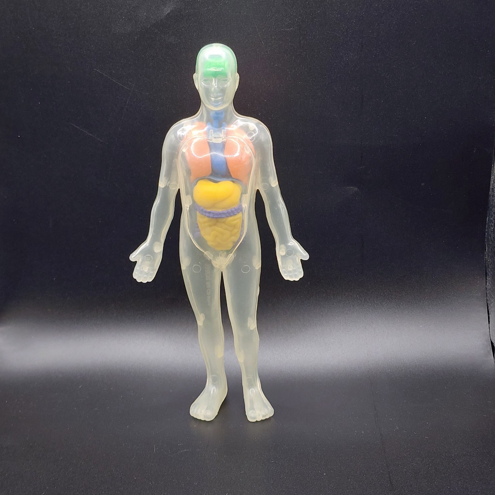 Invisible Man Human Body Anatomy Medical Doll 7.5" Figure w Organs Plastic