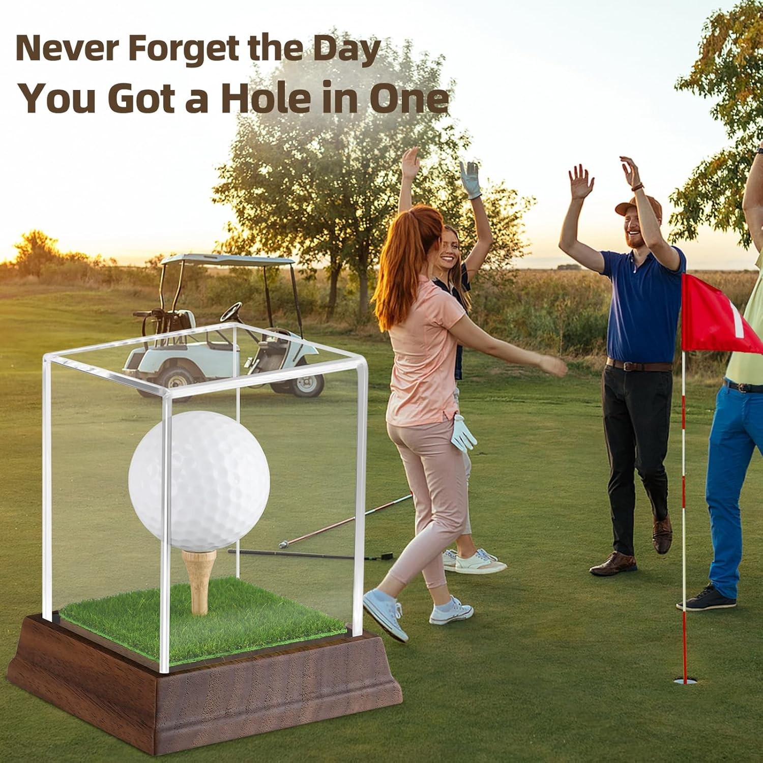 Golf Ball Display Case Hole in One Holder Wanult Clear