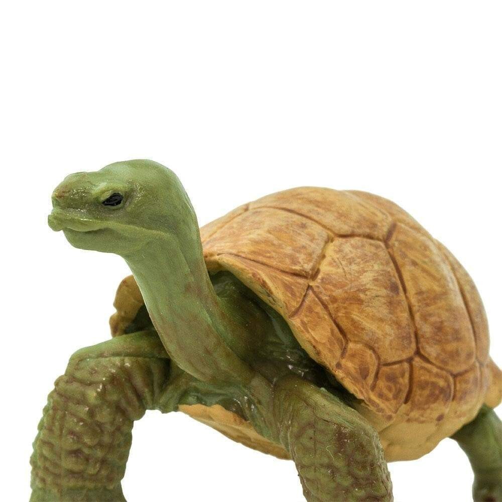 Giant Tortoise Wild Safari Figure Safari Ltd Lifelike Reptile Toy Realistic