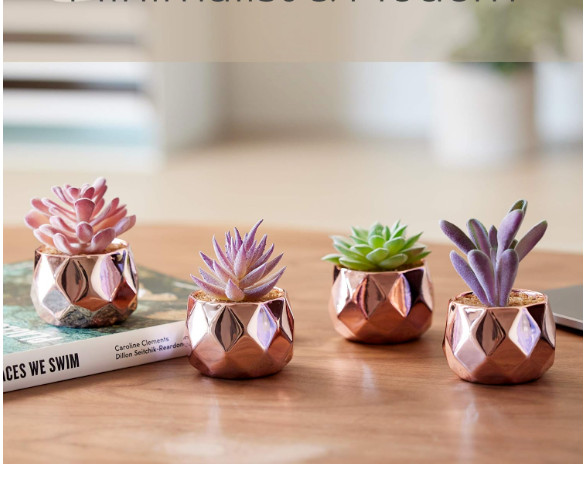 Motivational Desk Succulent Plant Set of 4 Ceramic Rose Gold Desk Office Home