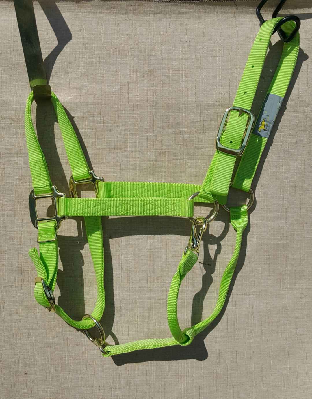 LOT OF 6 - Brand new LIME premium halter by Hamilton LARGE HORSE SIZE