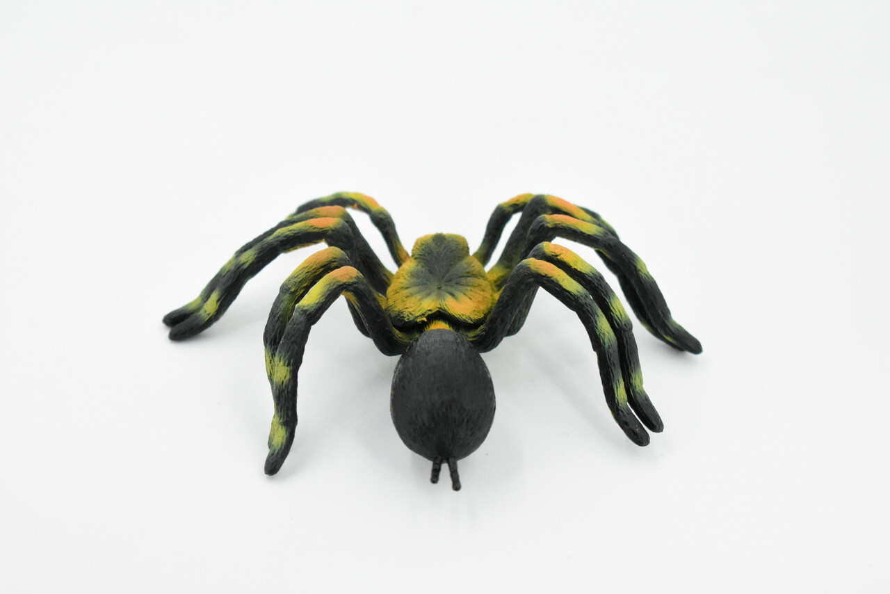 Spider, Tarantula, Realistic Toy Figure, Model, Replica, Gift, 5" CH246 BB122
