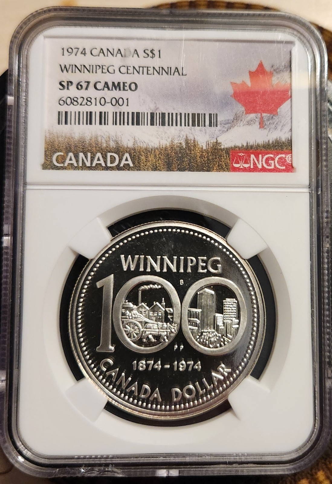 Silver Proof $1 Canada Bullion 1974 Winnipeg Centennial