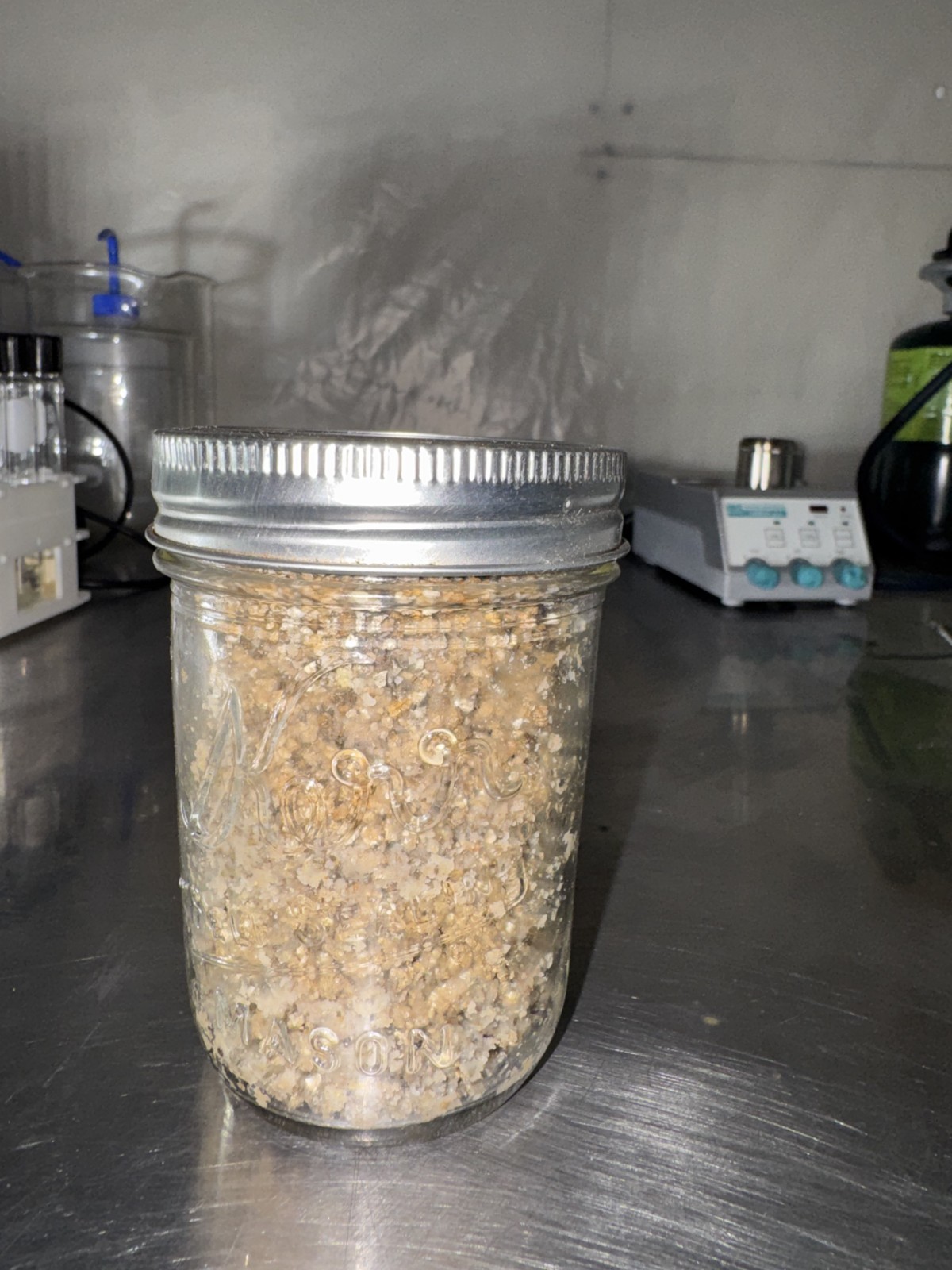 PF Tek-BRF Six (6) STERILIZED 1/2 Pint Jars Fast FREE SHIPPING!