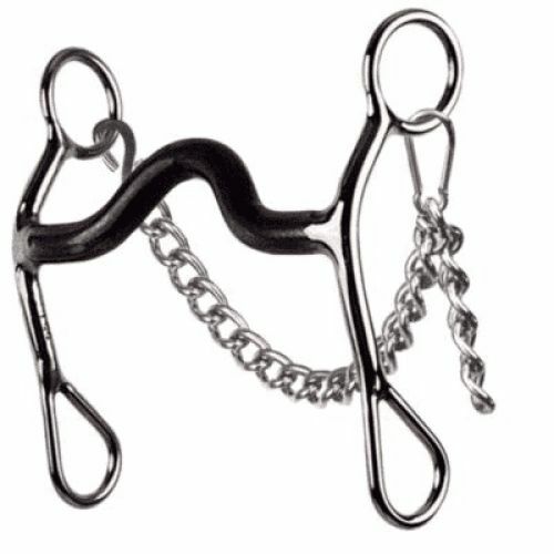 Circle R Reinsman 5" SS Reinsman Medium Port Sweet Iron Bit w Curb Chain CR651