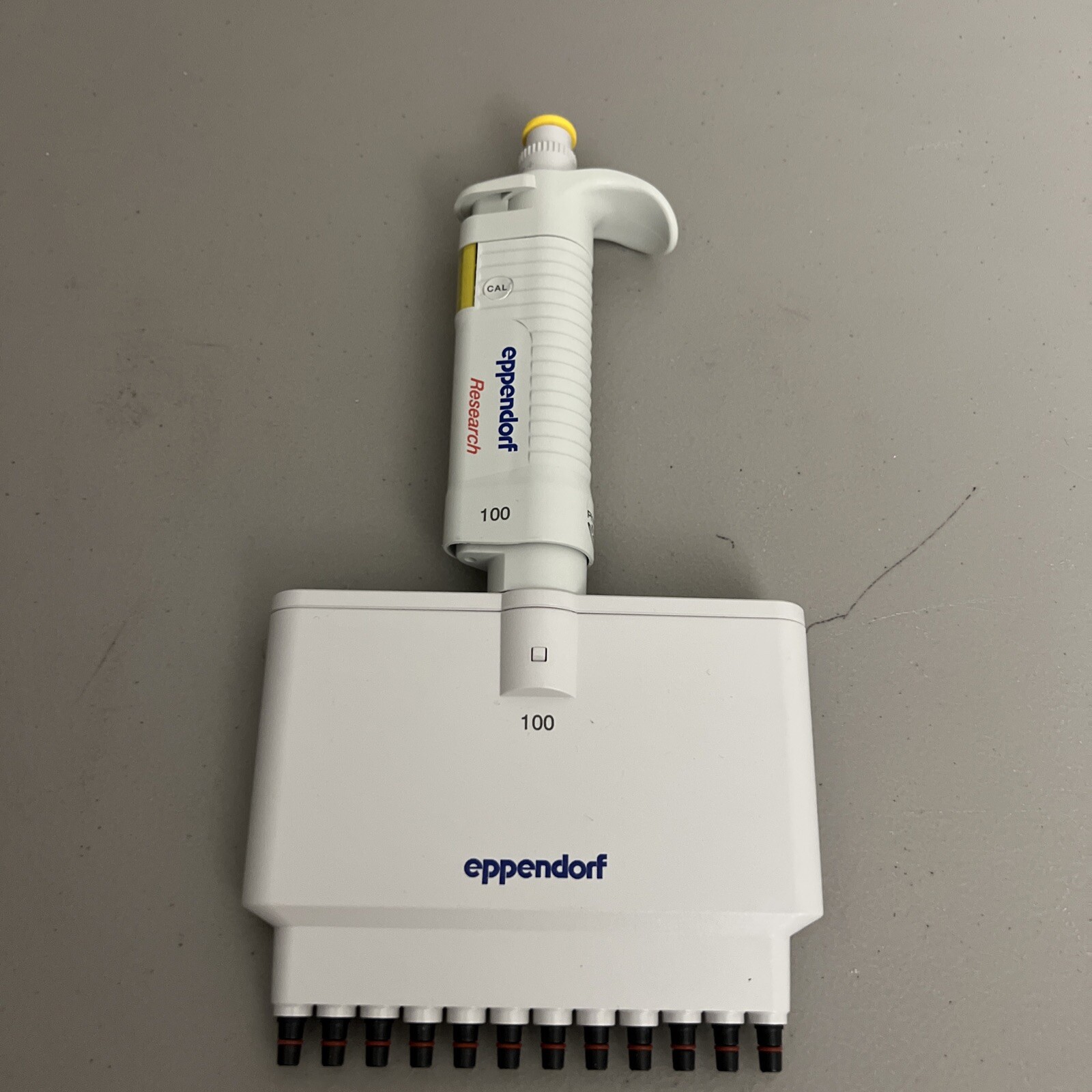Eppendorf  Research 12 Channel Pipette 100 10-100 uL Pipetman Pipettor