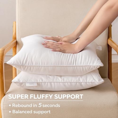 12 x 20 Pillow Inserts (Set of 2), Rectangle Square Interior 12 x 20 (2 Packs)