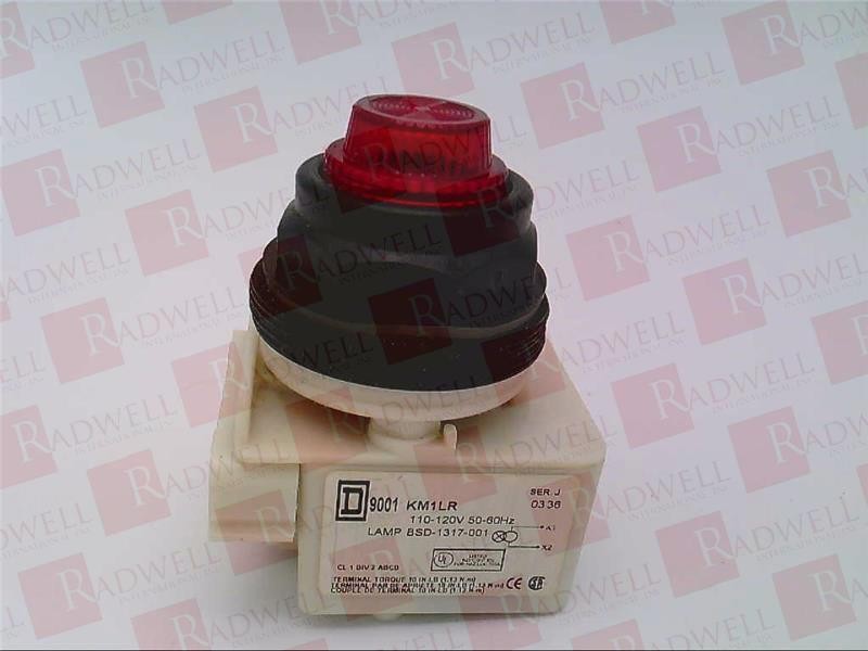 SCHNEIDER ELECTRIC 9001-SKP1LRR31 / 9001SKP1LRR31 (USED)