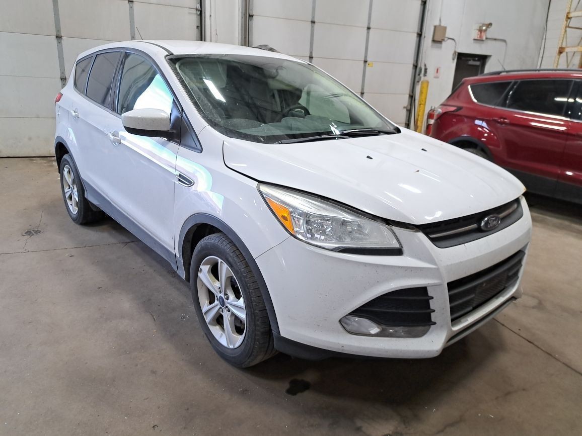 Rear 2014 Escape Camera/Projector Sku#4289654