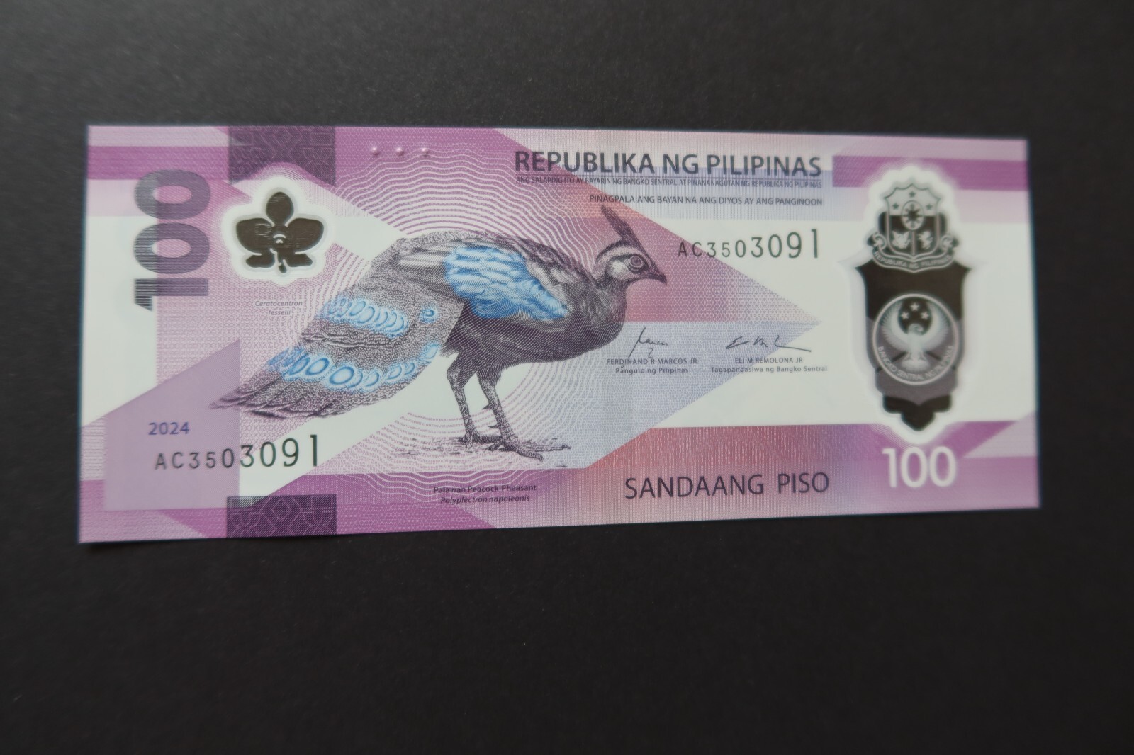 PHILIPPINES, NEW POLYMER ISSUE, 100 PISO, DATED 2024, PEACOCK PHEASANT - UNC