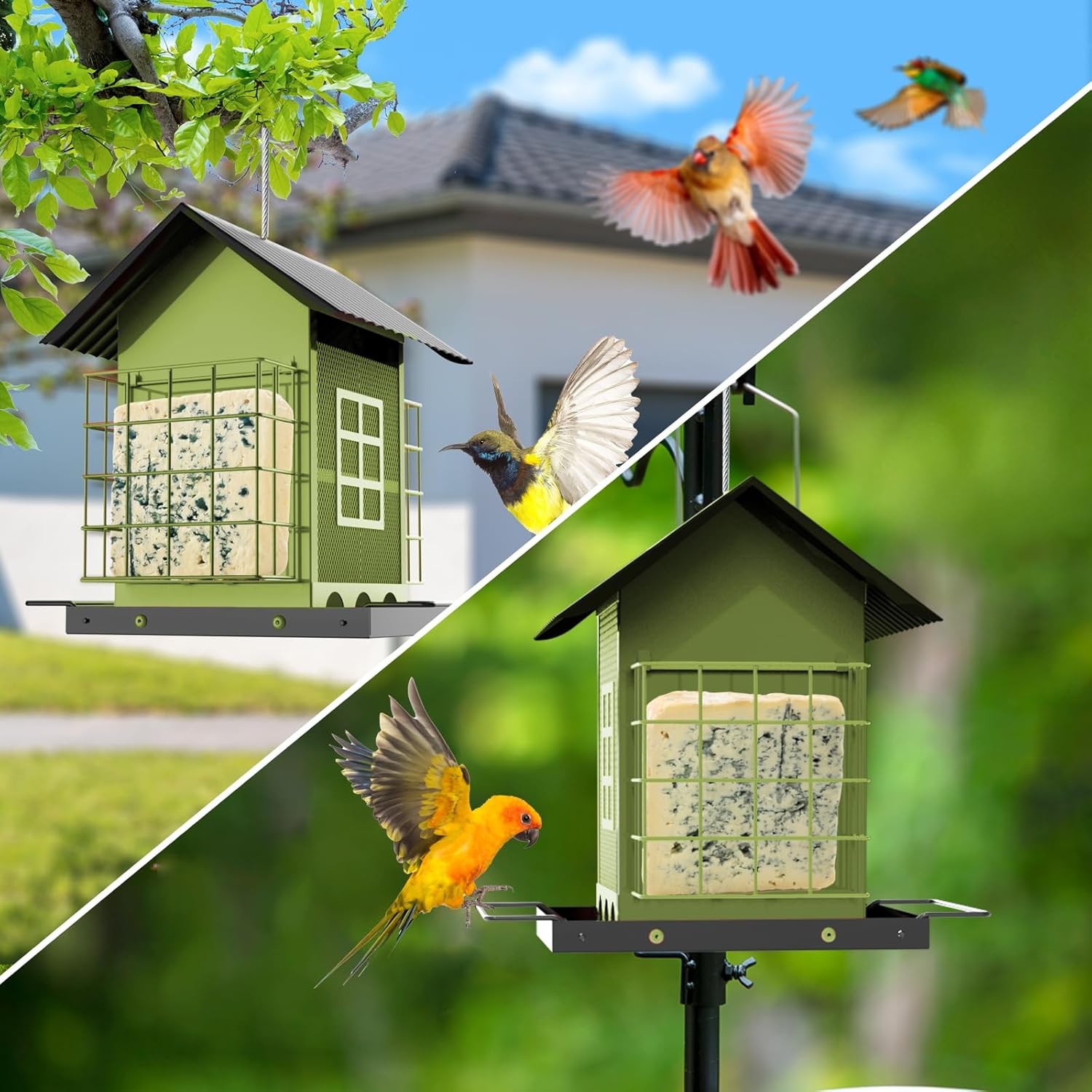 Bird Feeders for Outdoors Hanging, Metal Feeder with Double Suet Green