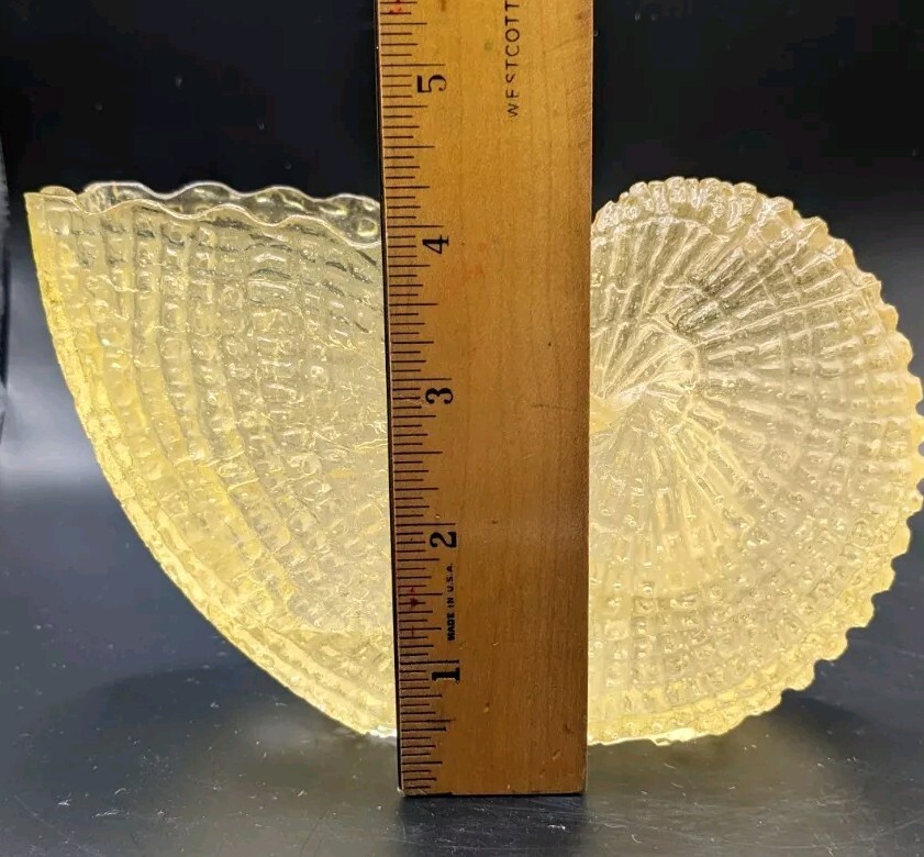 Nautilus Planter, Yellow Textured Lucite