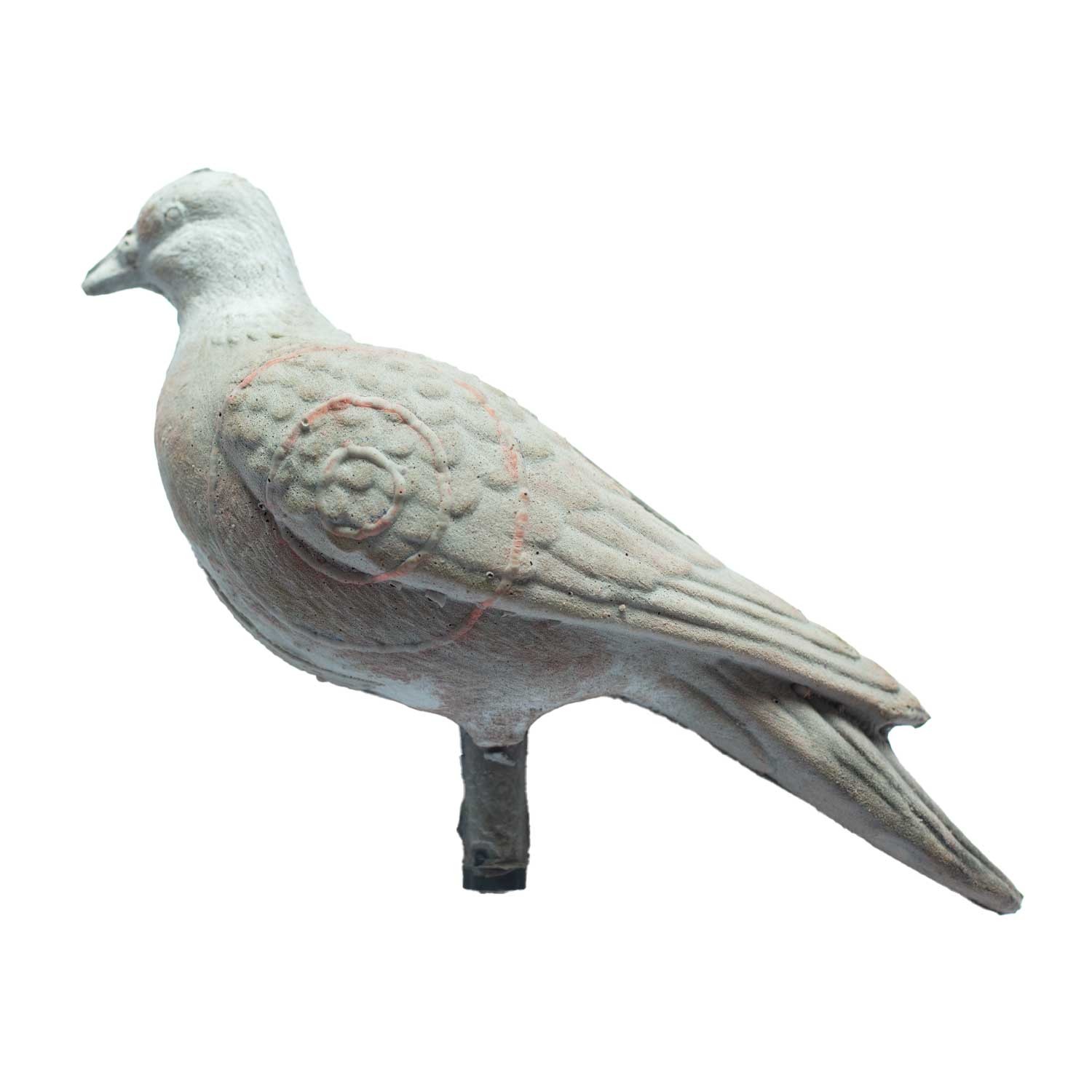 IBB 3D Animal Pigeon