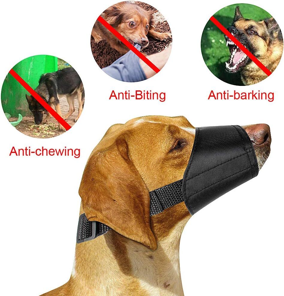 ewinever 5Pcs/Set Adjustable Breathable Safety Small Medium Large Extra Dog