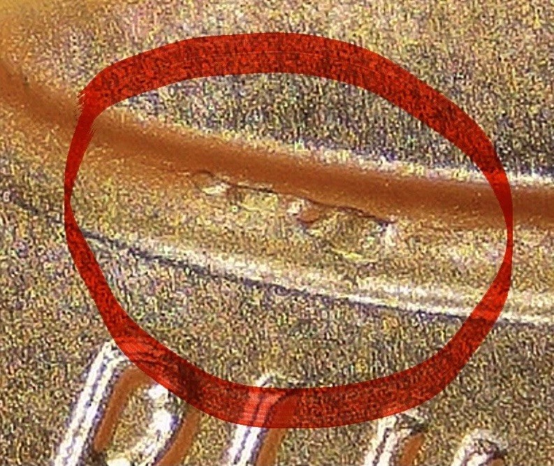 2023-P Lincoln  Cent With Die Chips On The Top Of The Shield On The Reverse