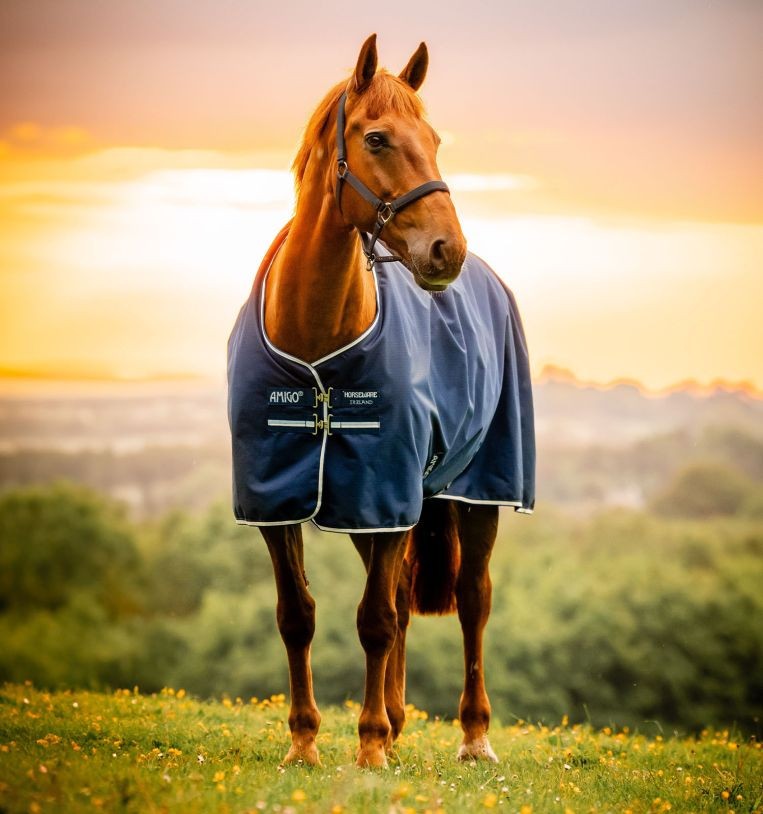 Amigo Ripstop 900D Turnout 200g - Whitney Navy