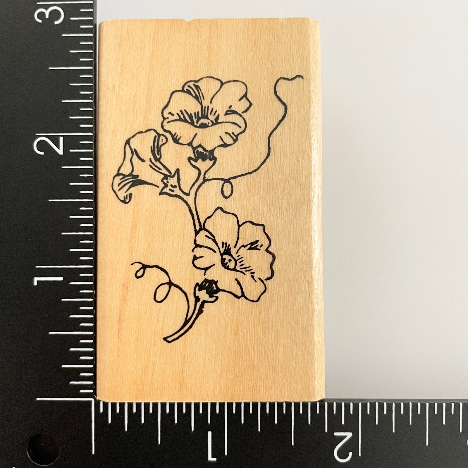 Anitas Morning Glory Flowers Wood Mounted Rubber Stamp