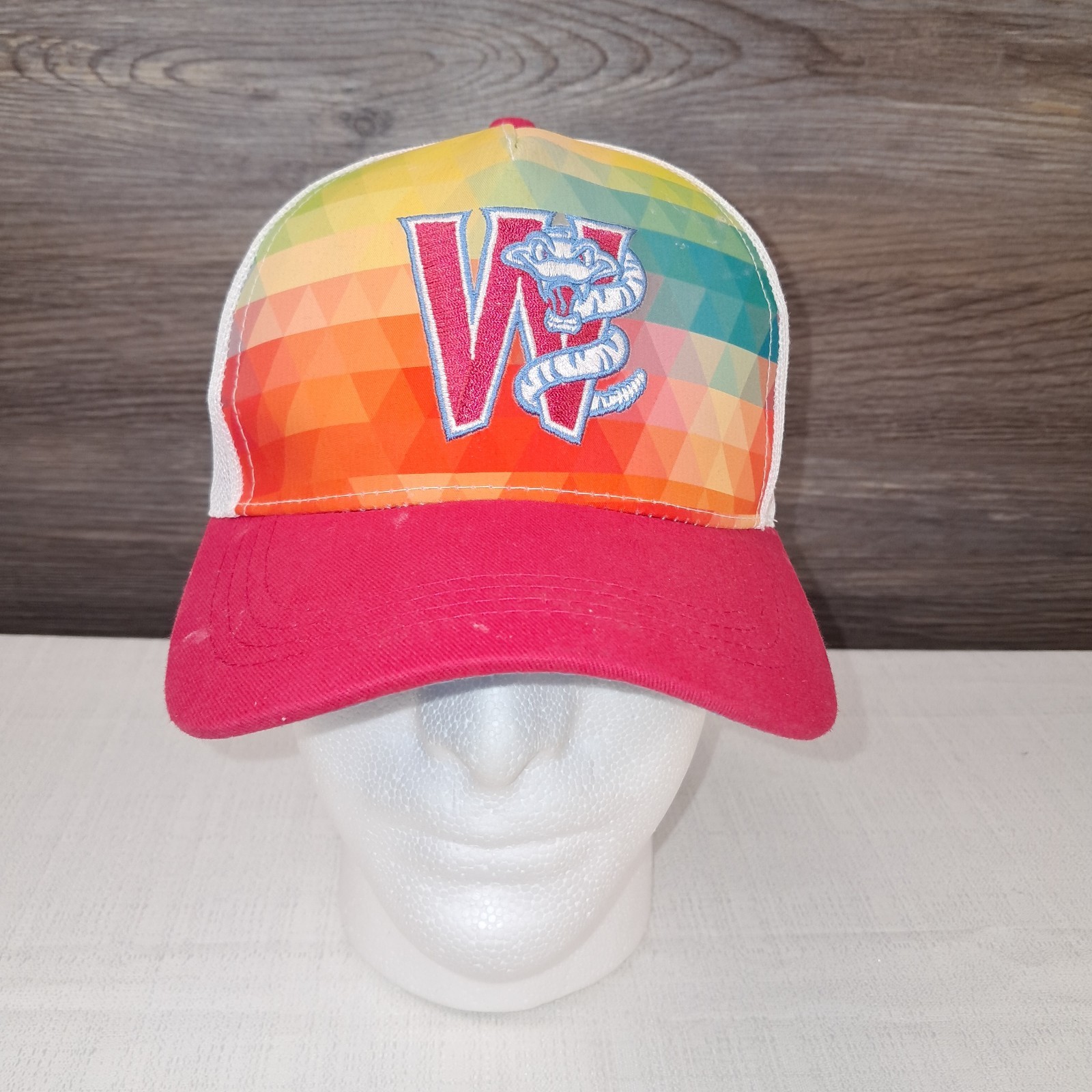 Wisconsin Timber Rattlers Multicolor Segmented Youth Adjustable Hat