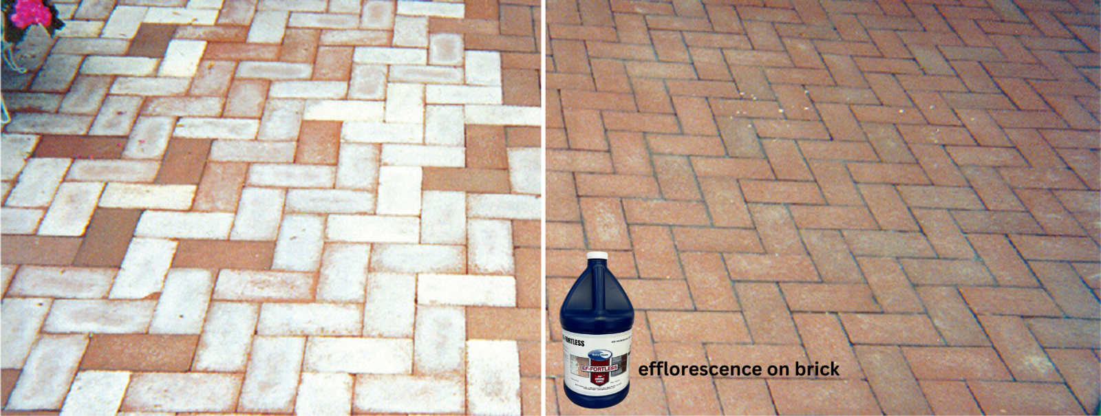 EaCo Chem EF-Fortless - Remove Powdery Efflorescence on Brick & Mortar - 1 Gal