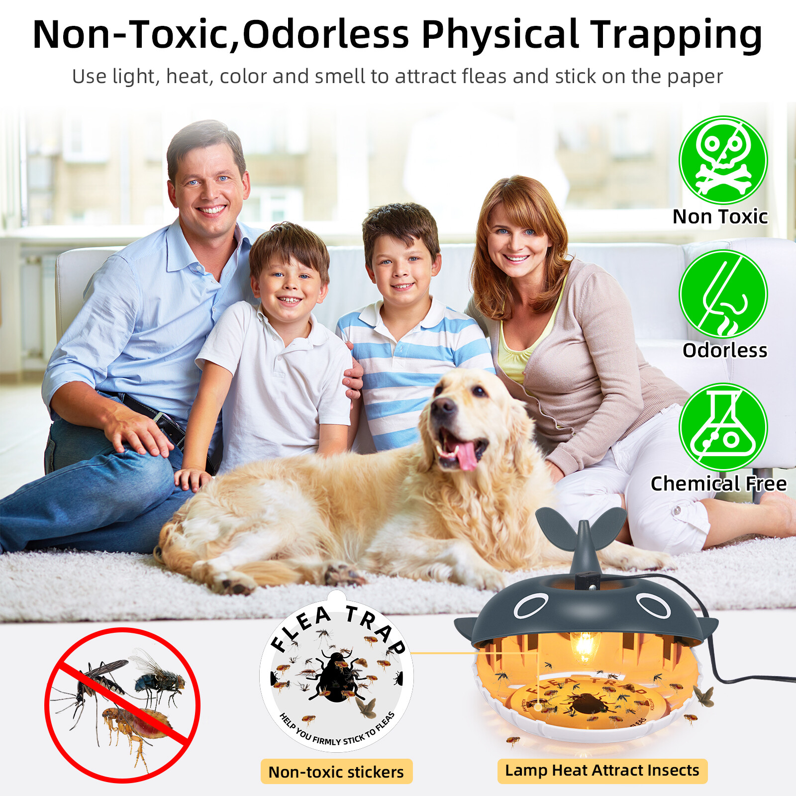 Flea Traps – 2 Pack, Light-Activated, Safe for Pets & Kids US