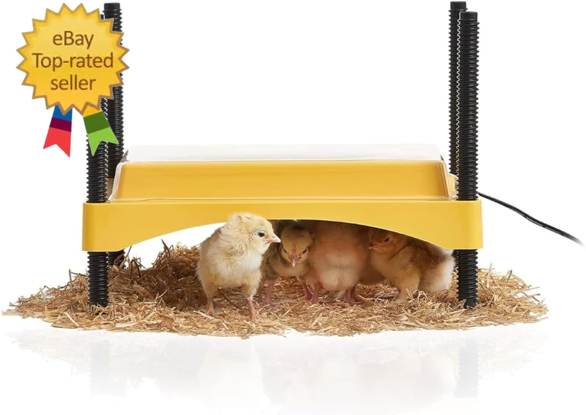 Ecoglow Safety 600 Brooder Plate for up to 20 Chicks - Energy Efficient 12 Watt