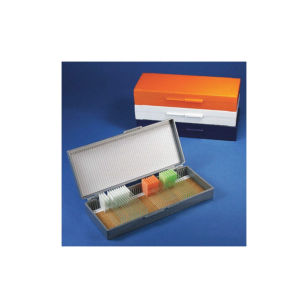 GLOBE SCIENTIFIC  Microscope Slide Box,White 55FH64