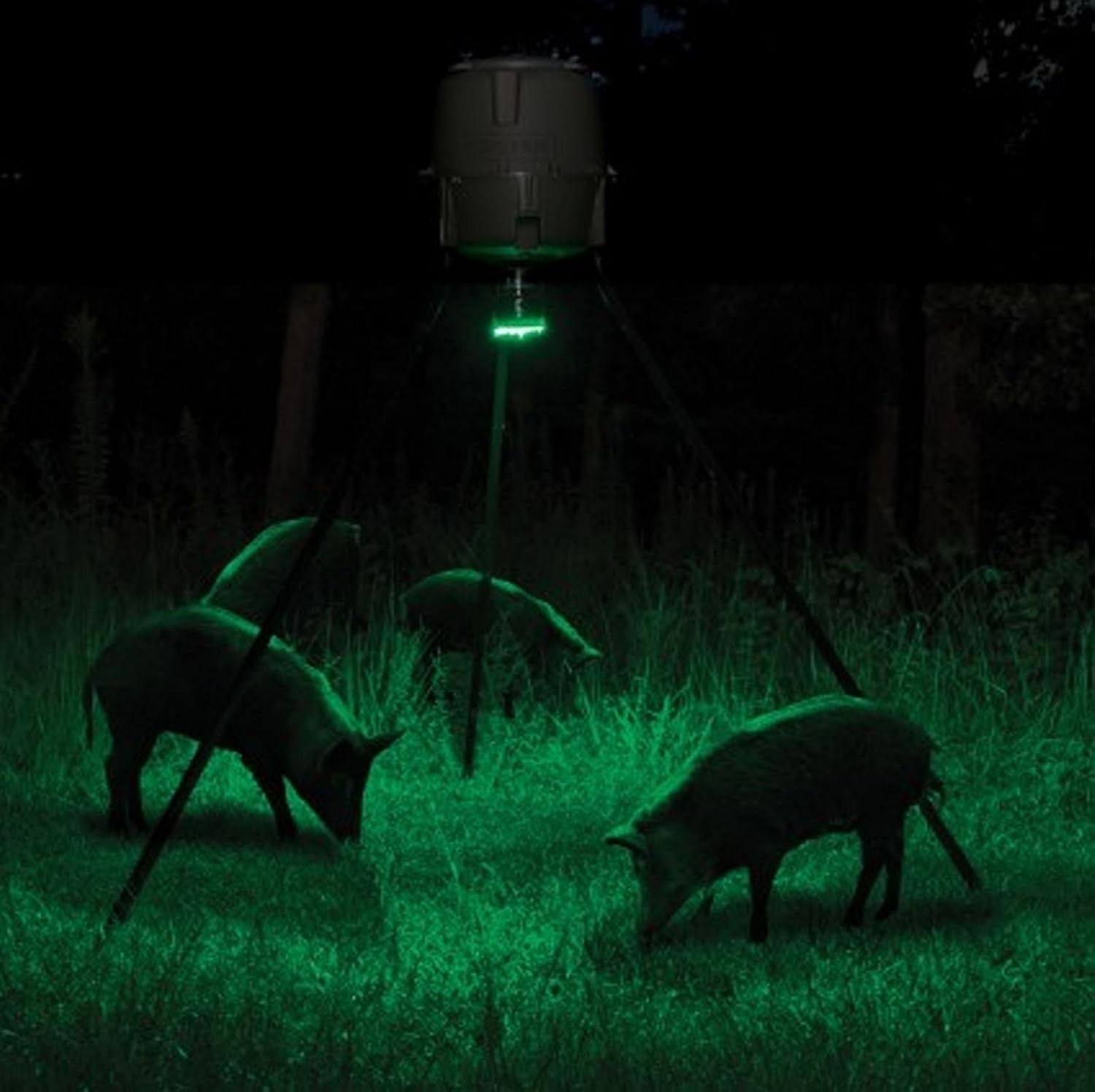 Battery Powered Feeder Hog Light - 30-ft Illumination with Adjustable Brightness