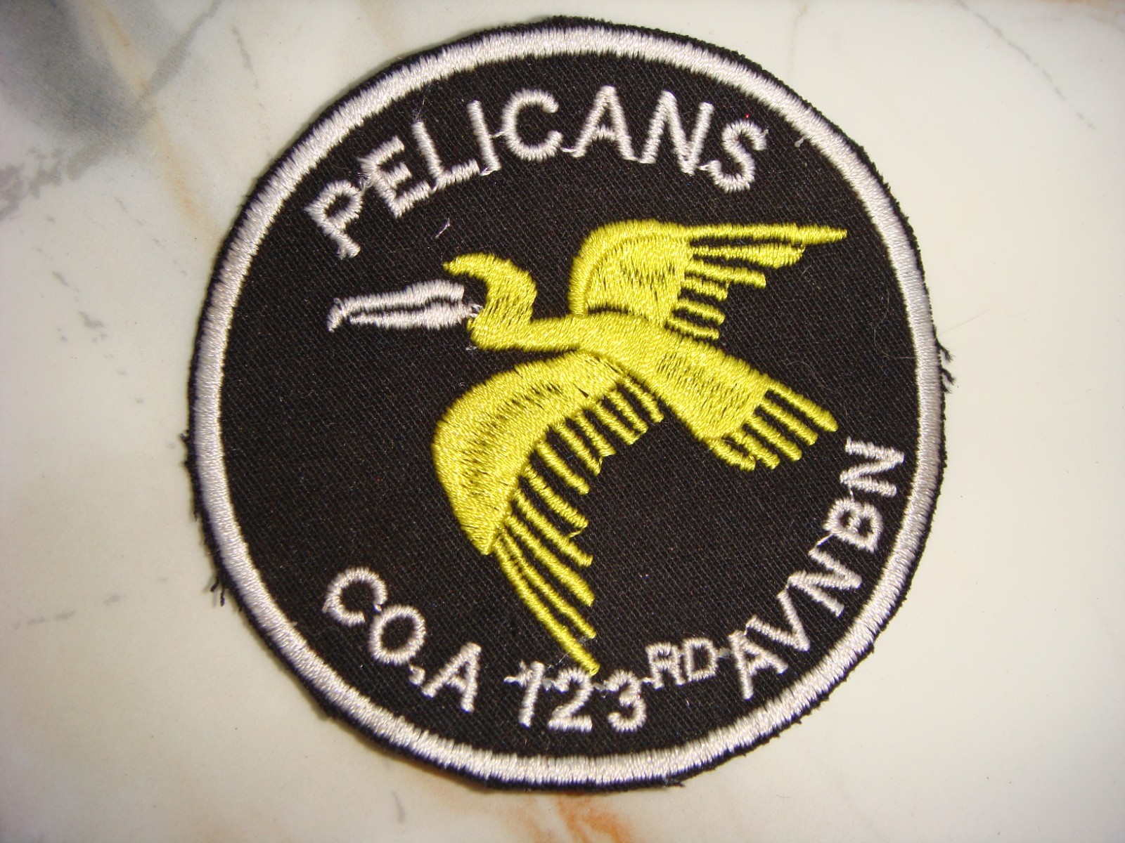 US A Co 123rd AVIATION BATTALION PELICANS, VIETNAM WAR PATCH