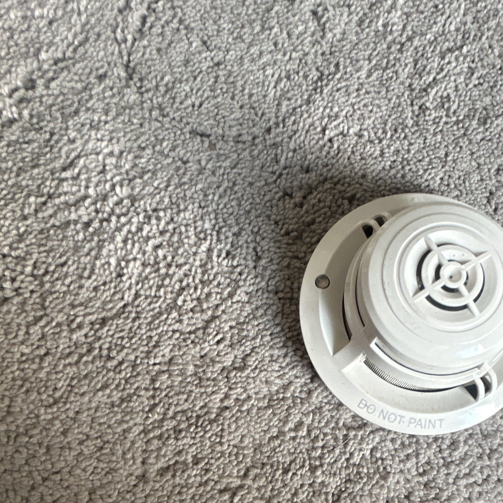 White Smoke Detector Sensor Head "Do Not Paint", Smoke Detectors