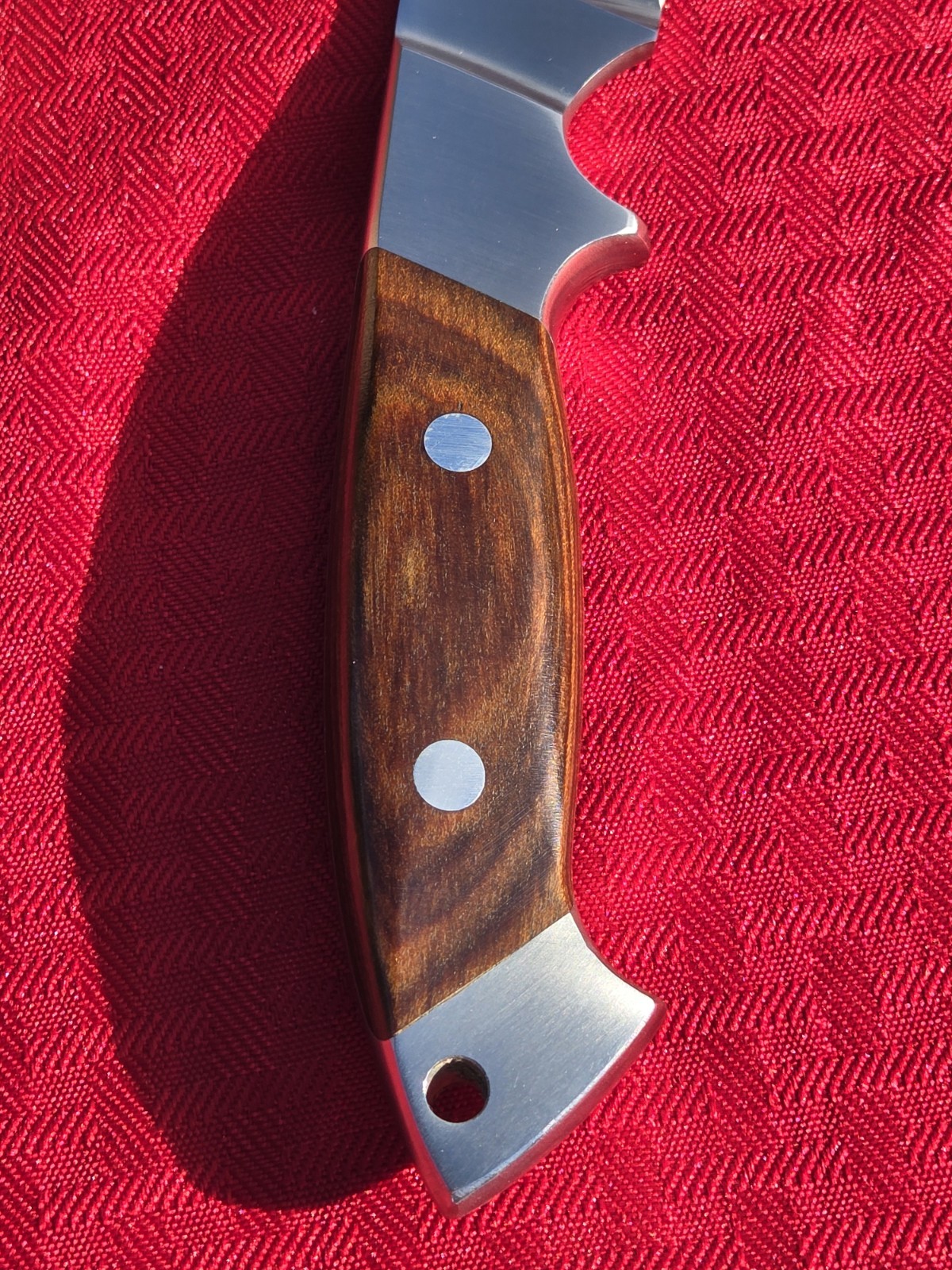 COLTELLO OLIVETTO Hunting Fixed Blade Hunter Knife Handle Italy UNUSED COND EXC