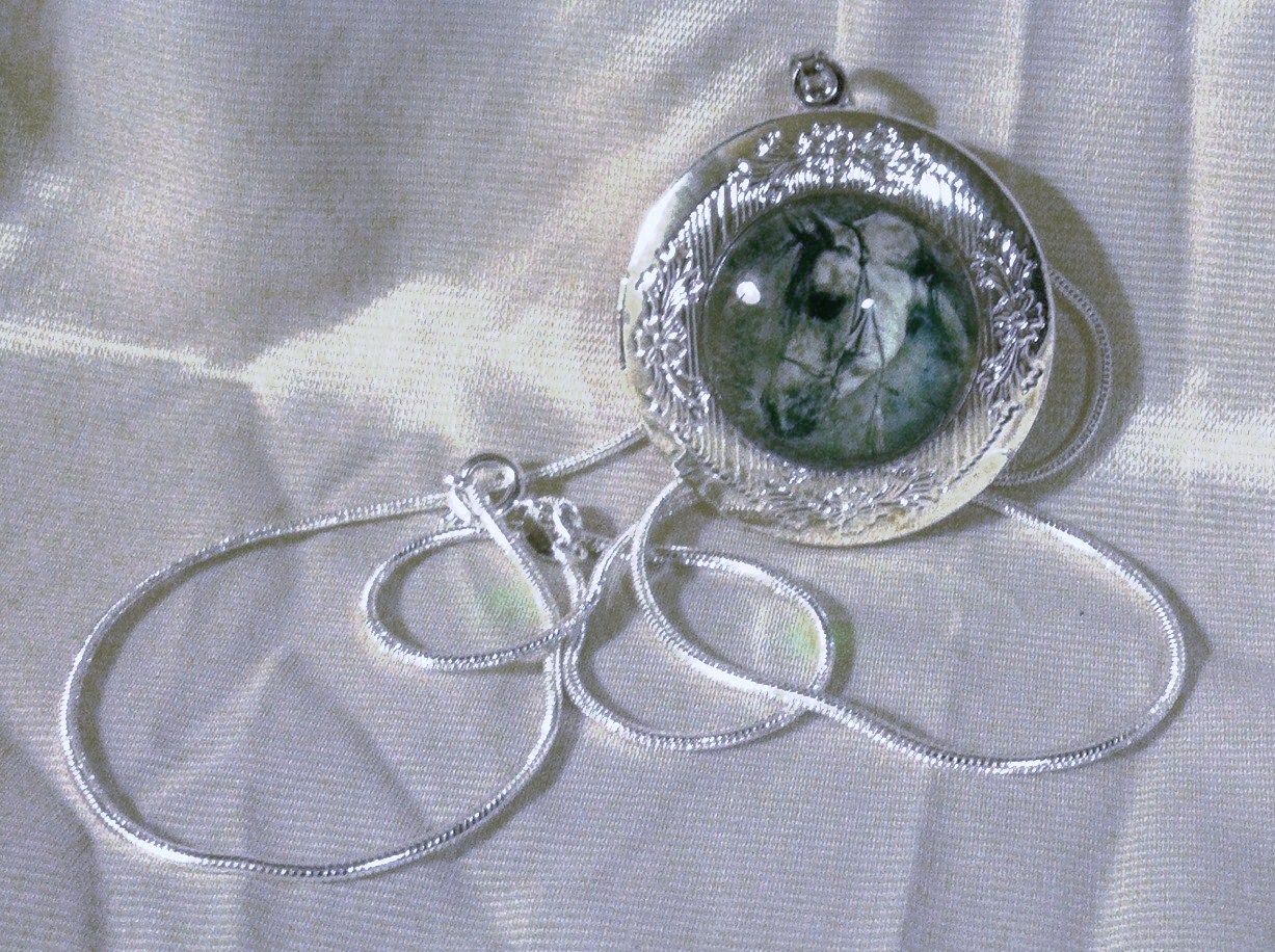 ARABIAN HORSE Glass Dome HORSE LOCKET Rhodium Plated Italy 925 Chain Blue GIFT!