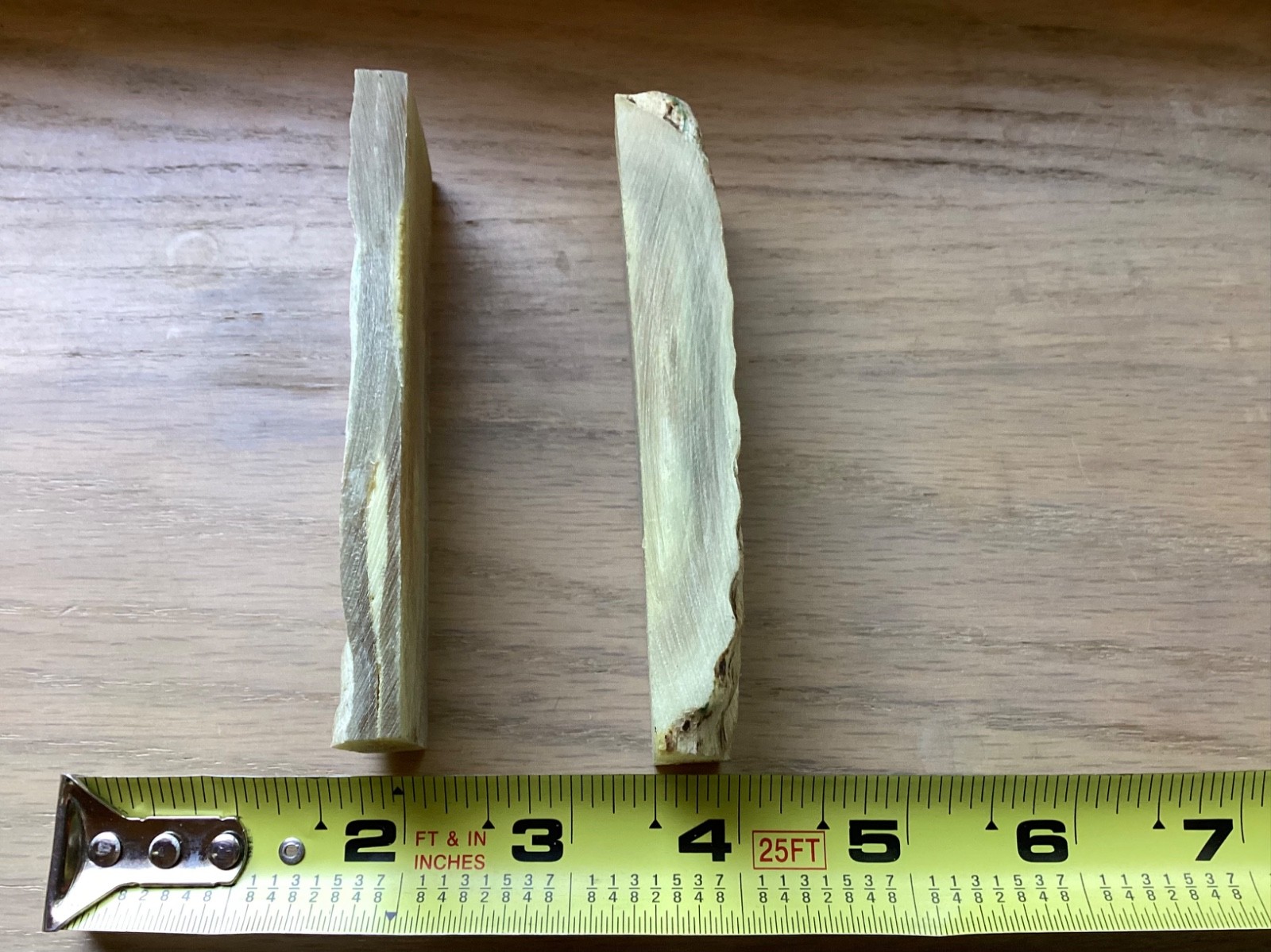 Sheep Horn slabs for knife making