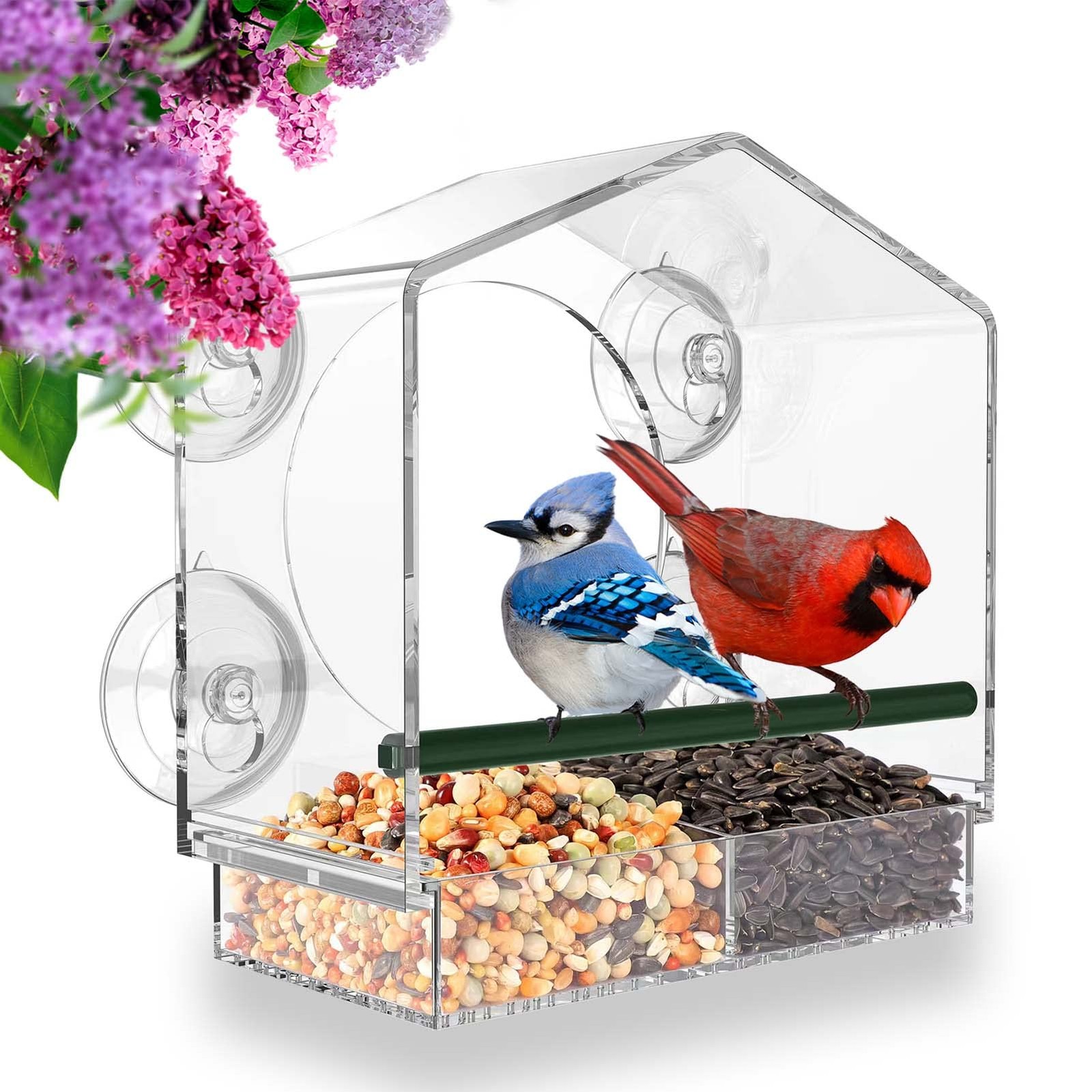 Mrcrafts Window Bird Feeder for Outside with Large House, Clear Birdhouse