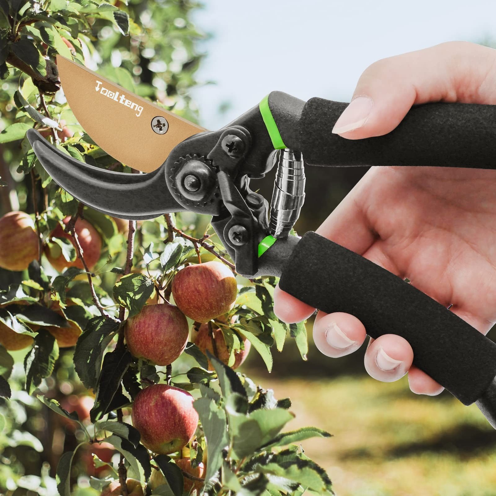 Premium Bypass Pruning Shears, Heavy Duty Ultra Sharp Hand Pruners, Professio...