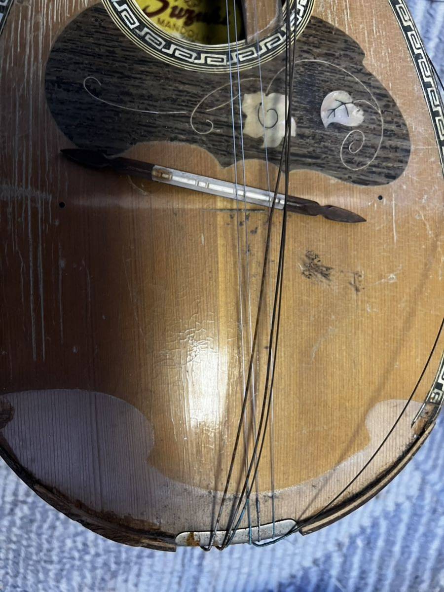 SUZUKI Mandolin