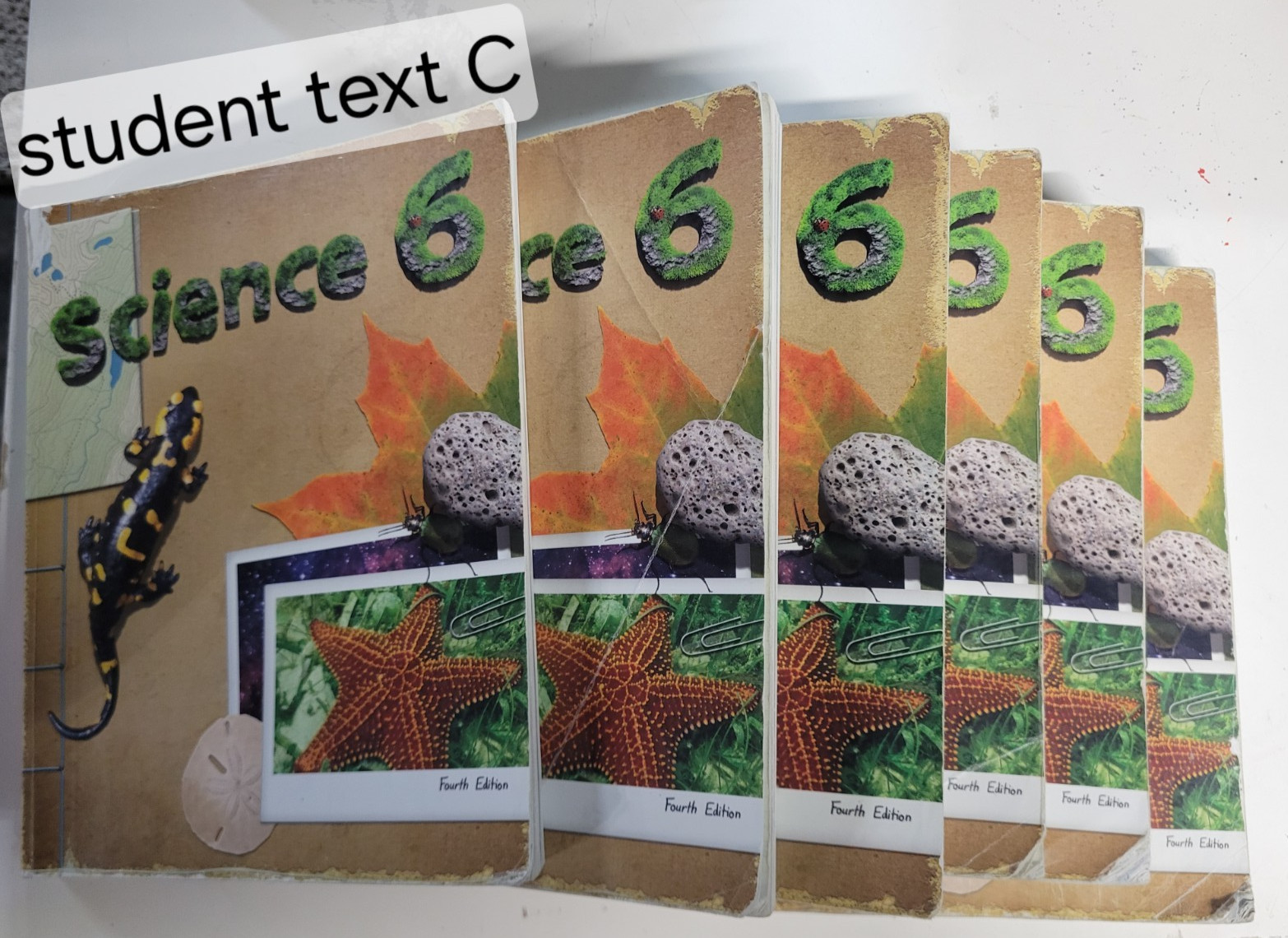 BJU Science 6 4th Edition Curriculum