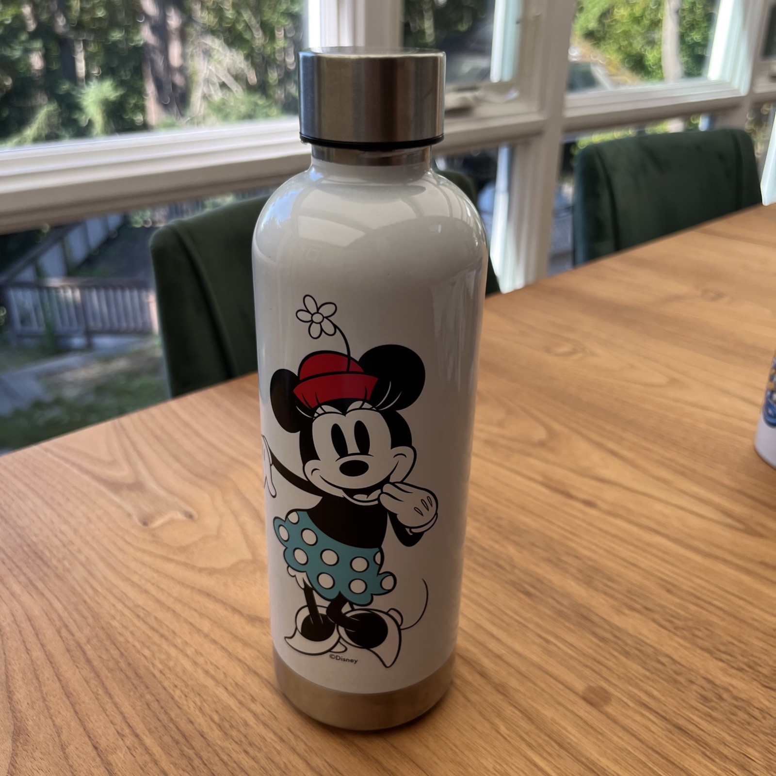 Disney Minnie Mouse William Sonoma 16oz Stainless Steel Water Bottle 10 x 3 Inch