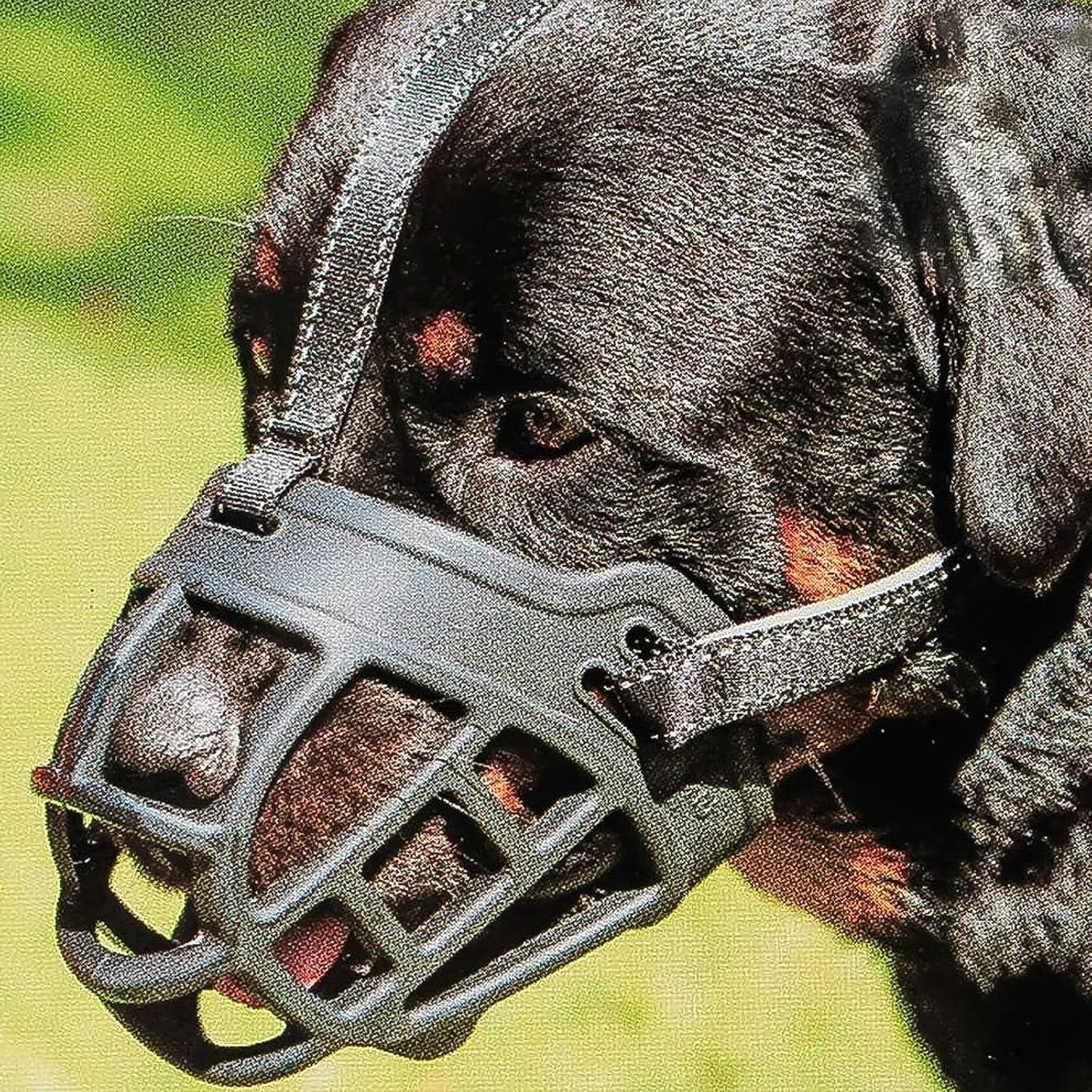 Soft Silicone Large Dog Muzzle - Comfortable Anti-Biting and Chewing Solution