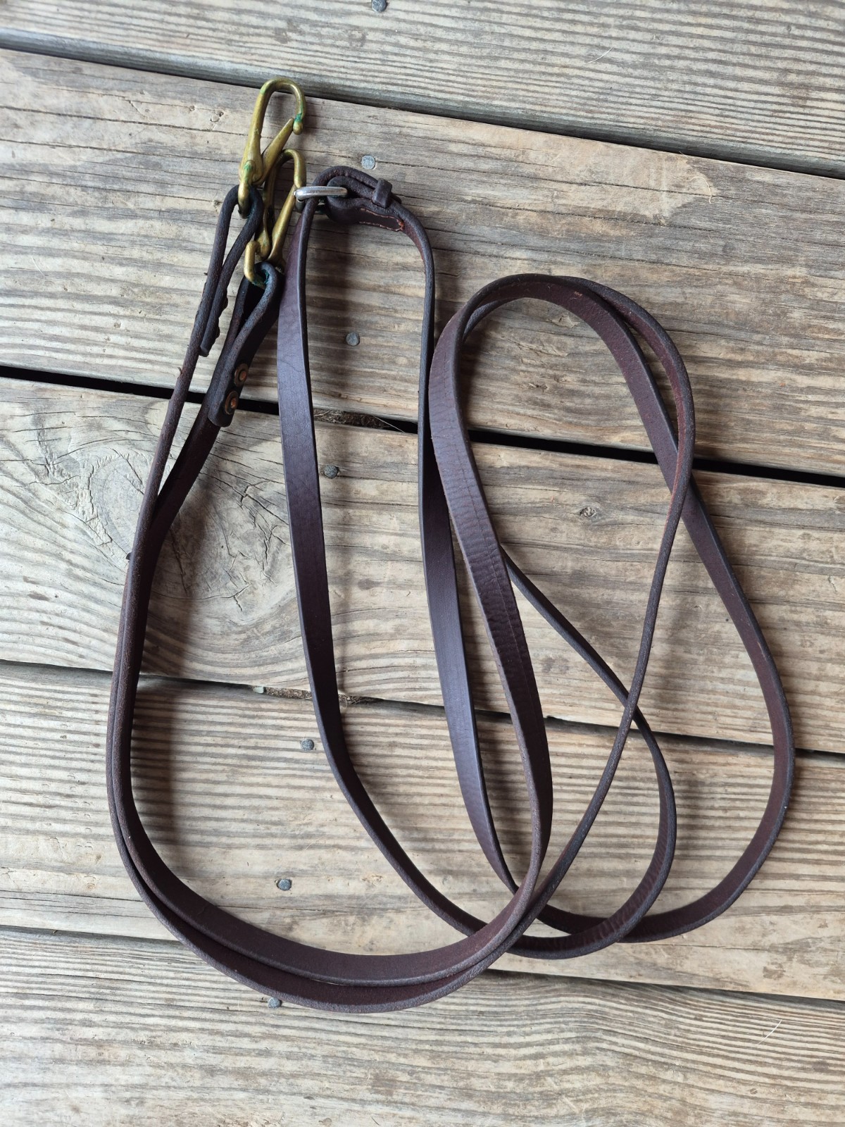 Trail Reins 2 sets one leather one biothane 10+' ech