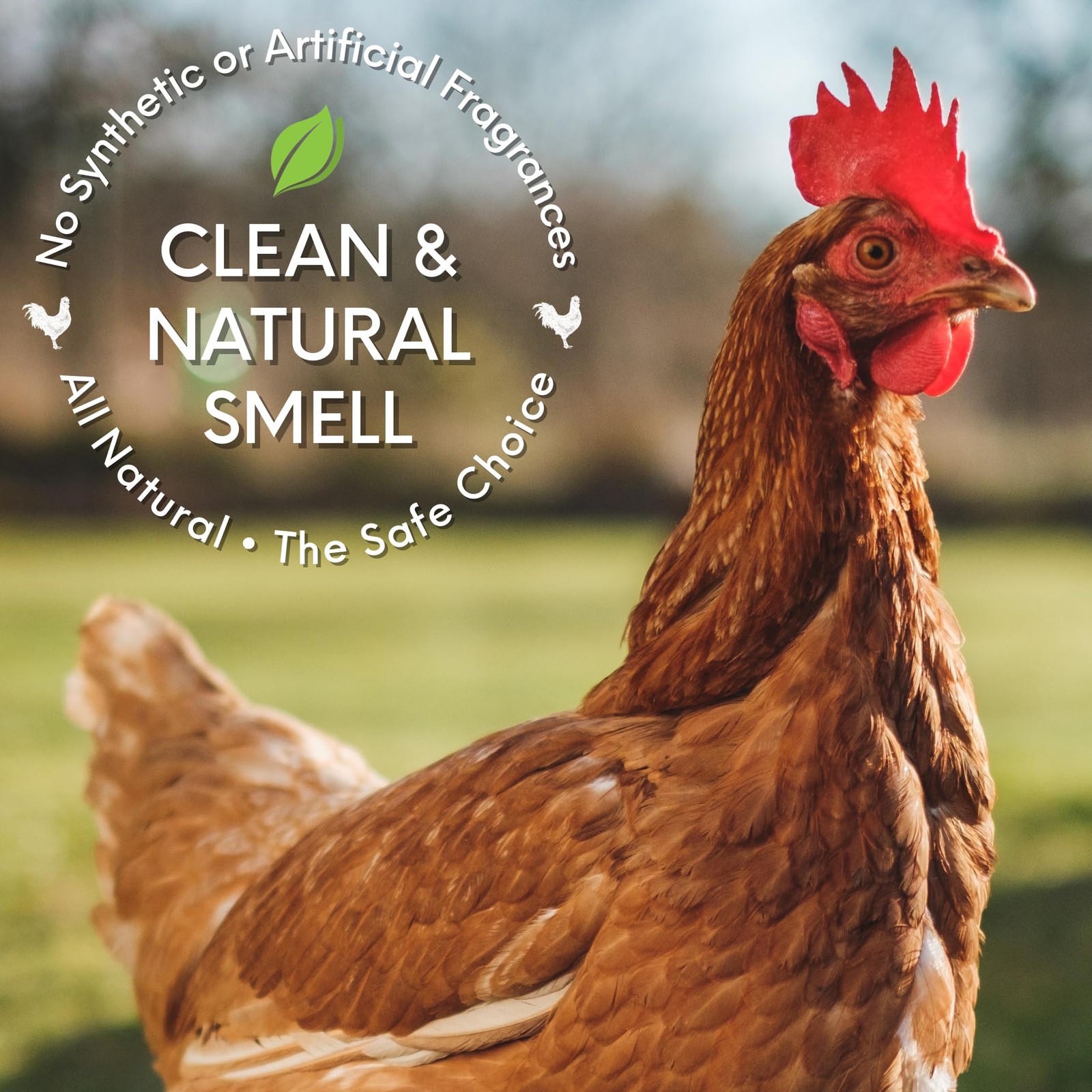 Chicken Coop Odor Control Spray for Chickens & Brooders, 24 oz