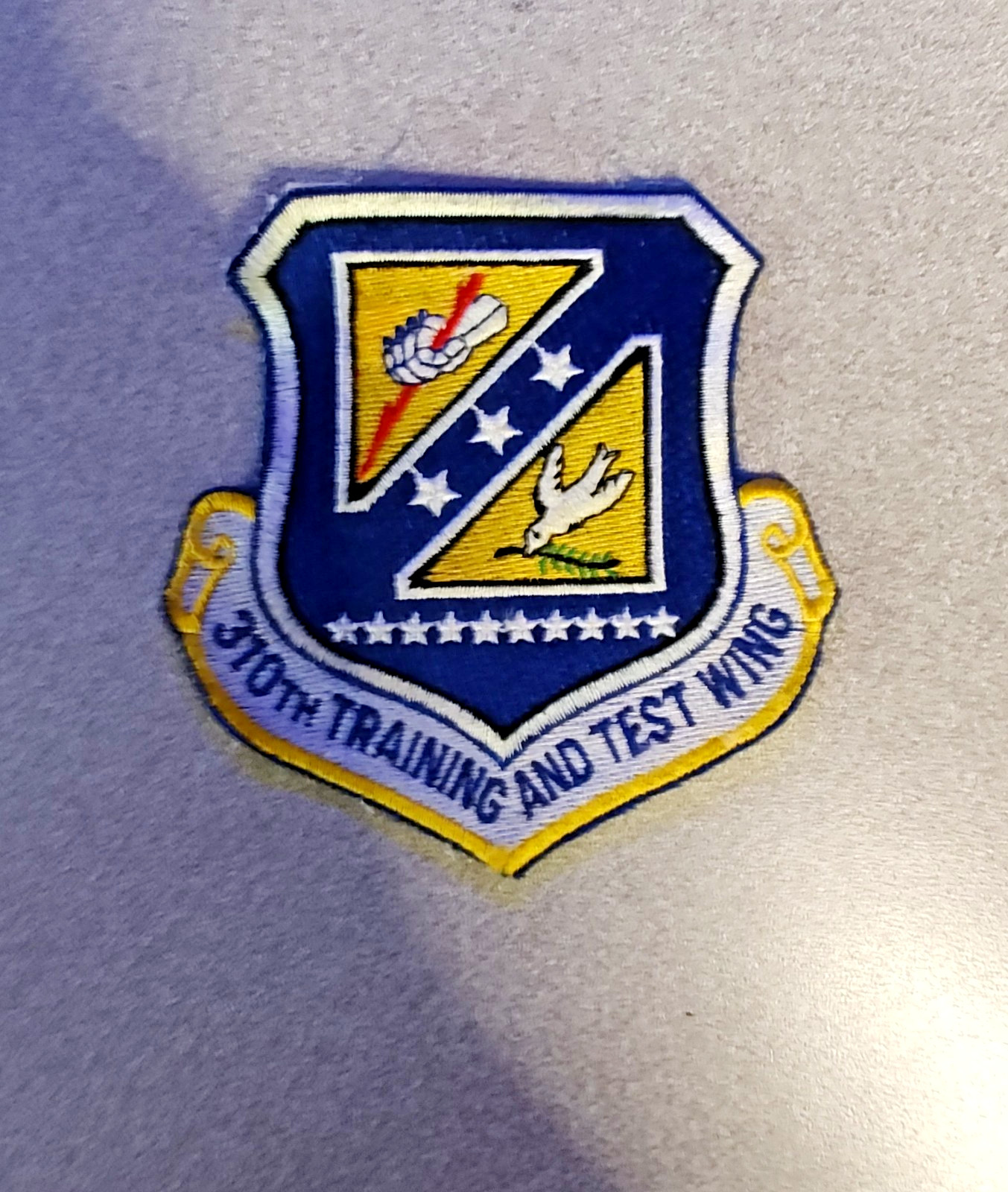 310th Space Wing Patch United States (4 INCHES) IRON ON)