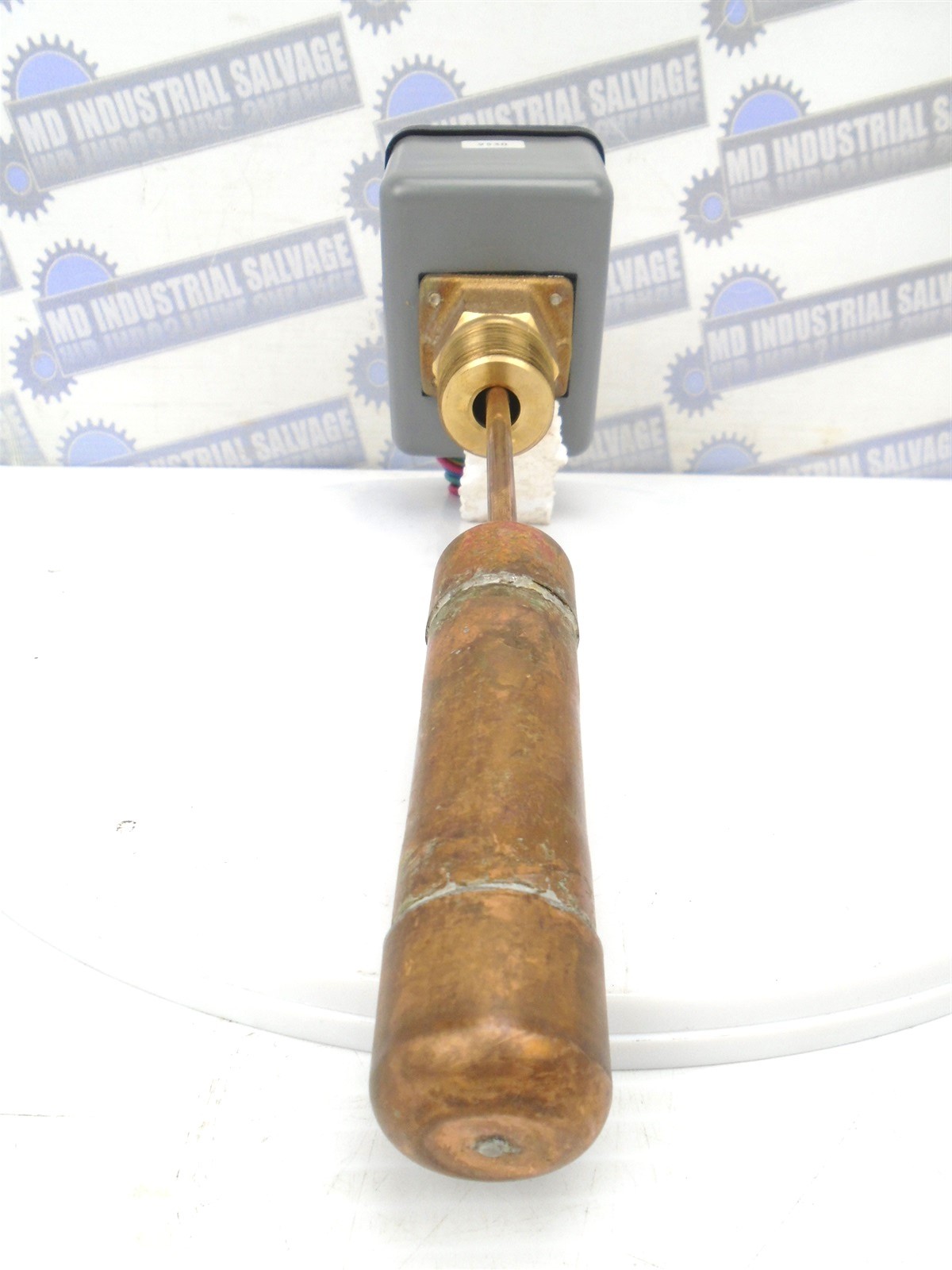 BAC - BALTIMORE AIRCOIL - 310620 - F63FF - FLOAT SWITCH - SNG P, DBL Throw (NEW)