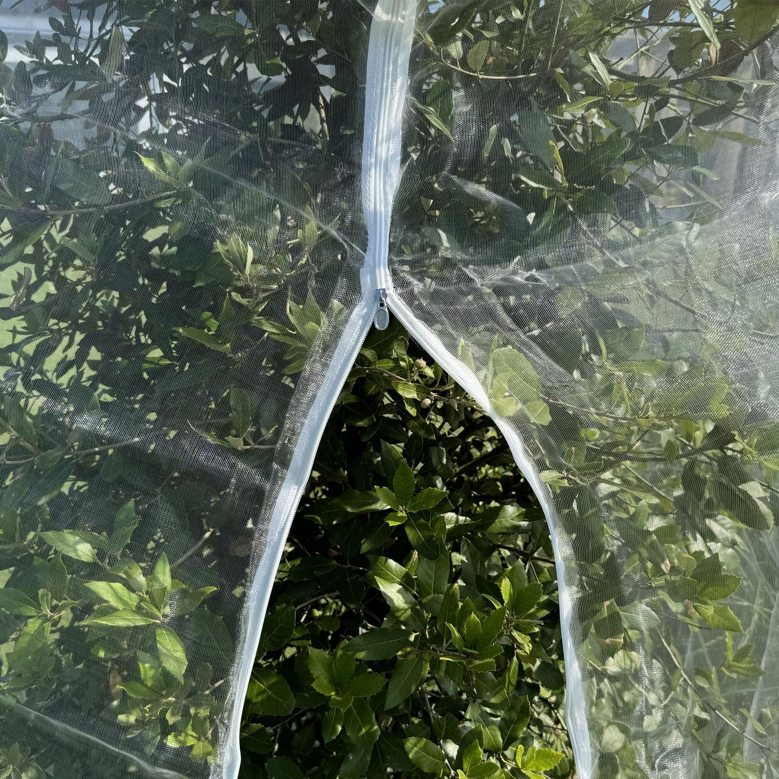 Fruit Tree Protection Bags 8.5x8.5 FT | Multiple Size 8.5 x FT, White