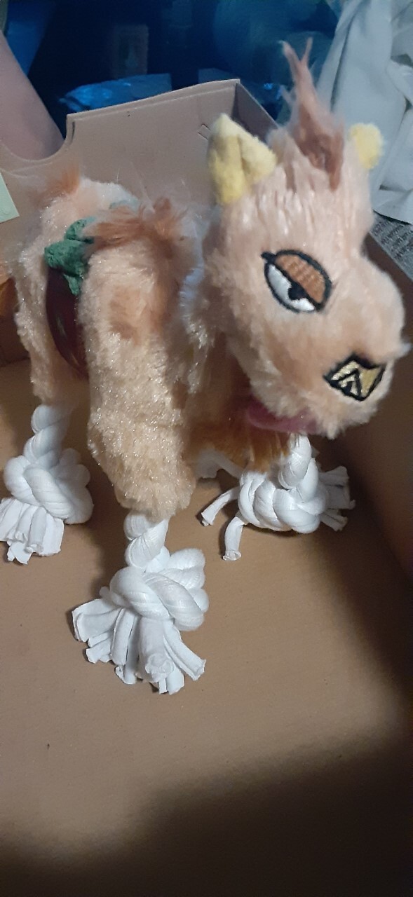bark shop camel