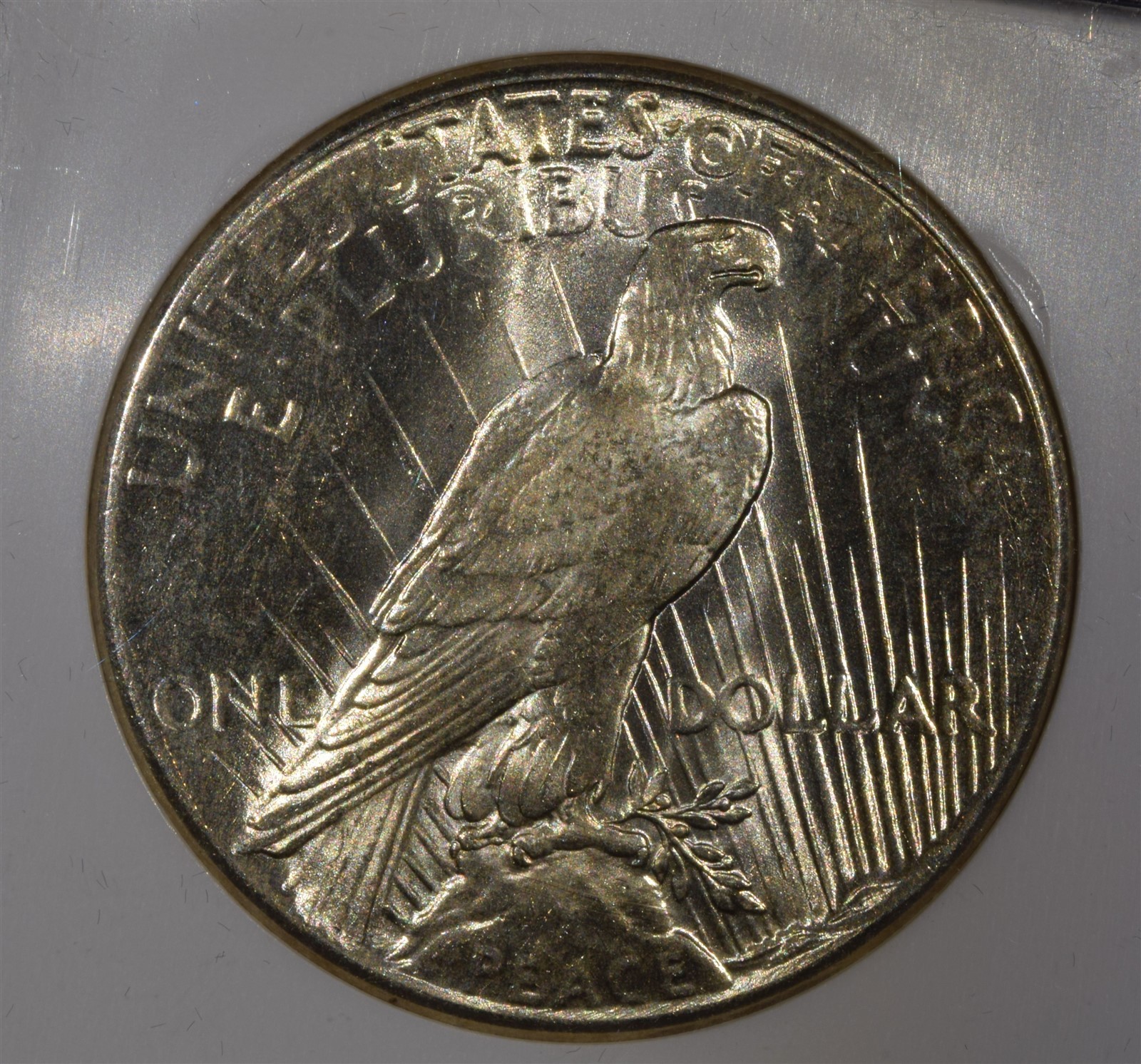 1925 Peace Dollar "NGC MS63"