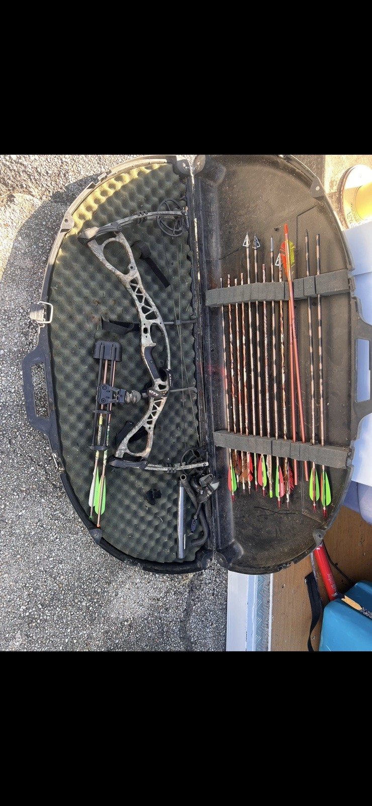 hoyt charger compound bow