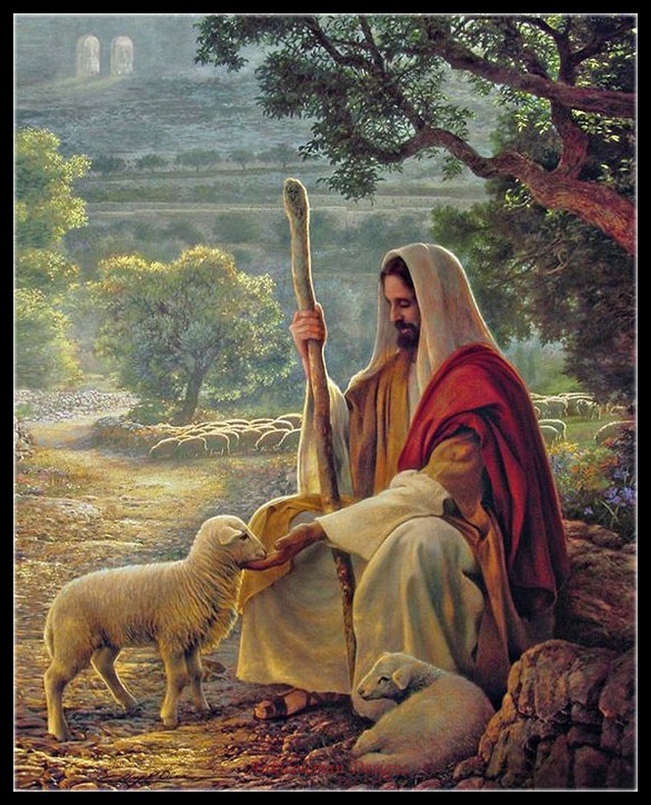 Lost No More - DIY Chart Counted Cross Stitch Patterns Needlework 14 ct Aida