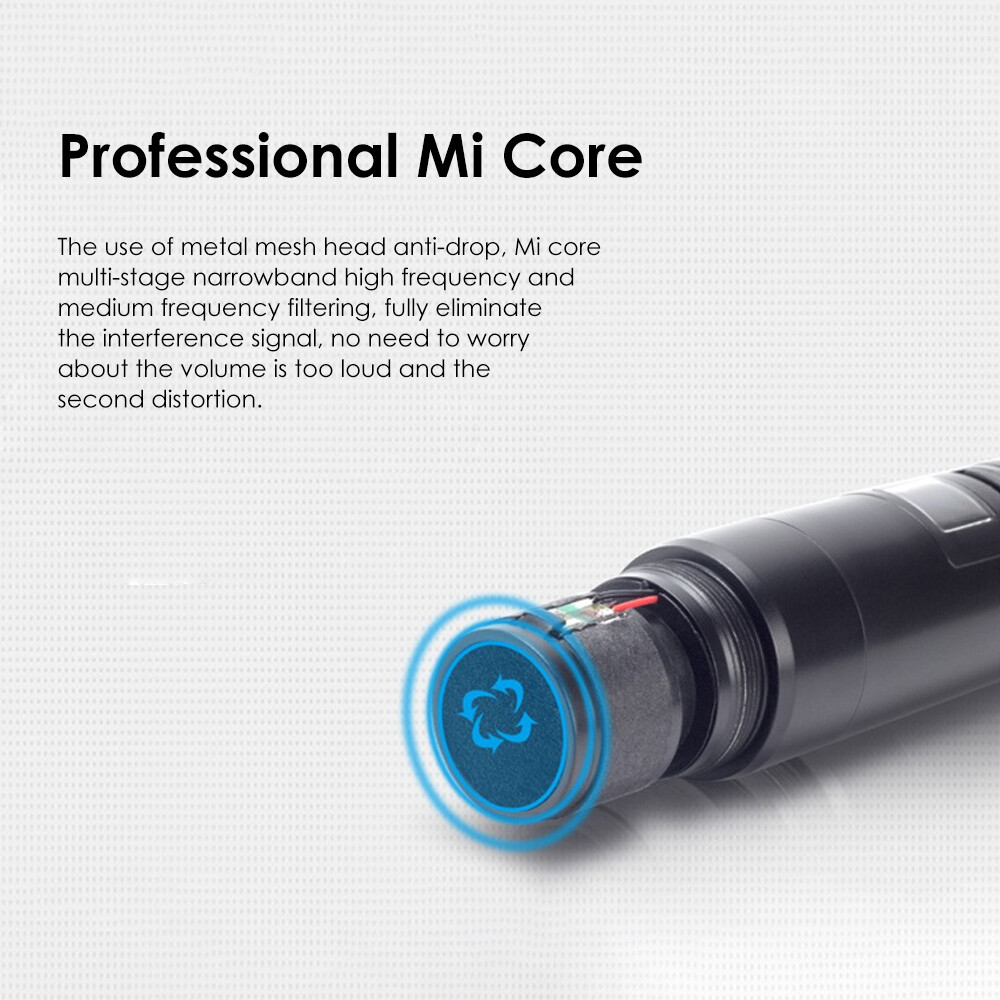 Pro 2 Channel UHF Wireless Dual Microphone Cordless Handheld Mic System For Home