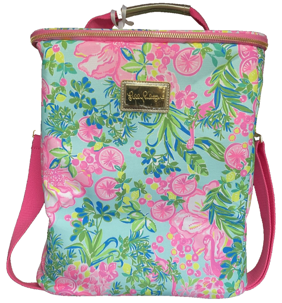 LILLY PULITZER INSULATED BEACH COOLER BAG PINK BLUE 12x10x14” FRUIT FLAMINGO NWT